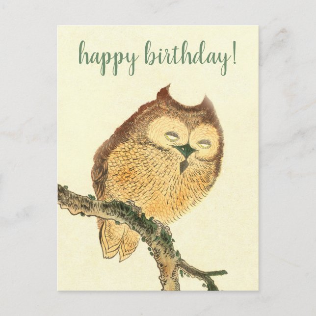 Cute Owl - Carte postale d'anniversaire japonais (Devant)