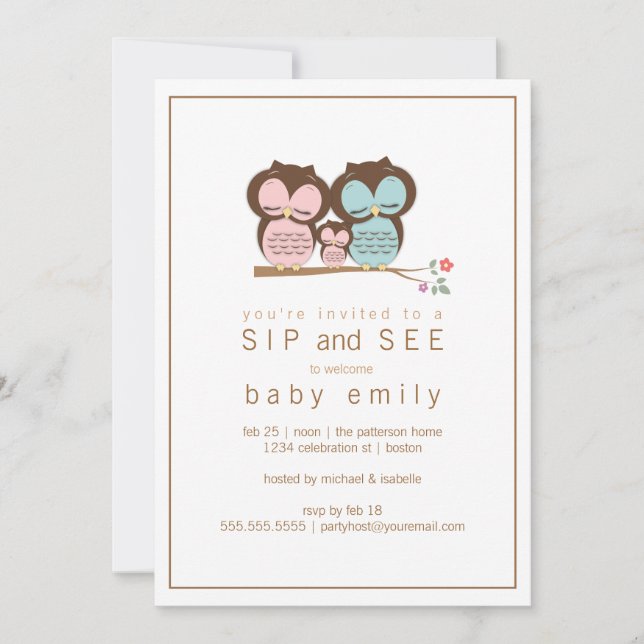 Cute Owl Family Sip and See Baby Greet Invitation (Devant)