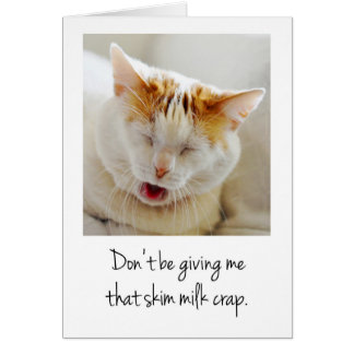 Cute Plainte Chat