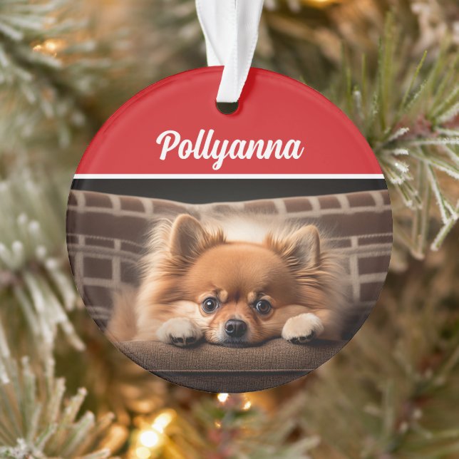 Cute Pomeranian Dog Holiday Christmas Photo (Arbre)