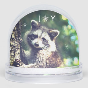 Cute Raccoon sur le Jungle Snow Globe