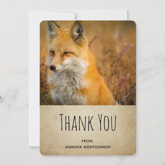 Cute Red Fox Wilderness Nature Photo Merci (Devant)