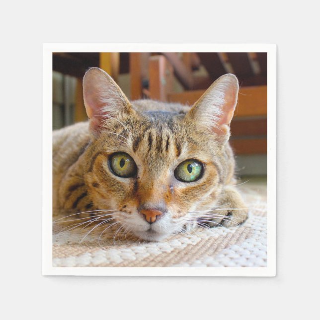 Cute serviettes en papier Cat (Devant)