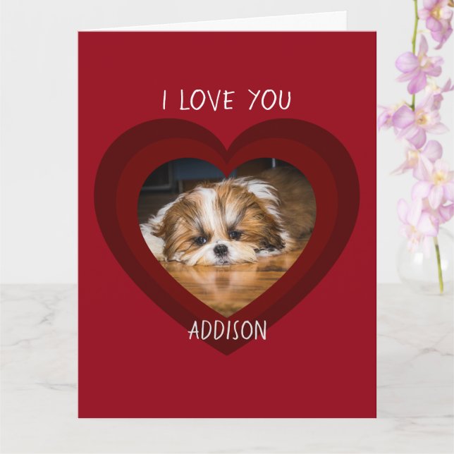 Cute shih tzu amour Valentine coeur carte photo (Orchidée)