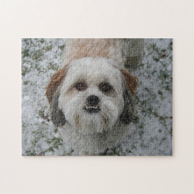 Cute Shih Tzu Puzzle (Horizontal)