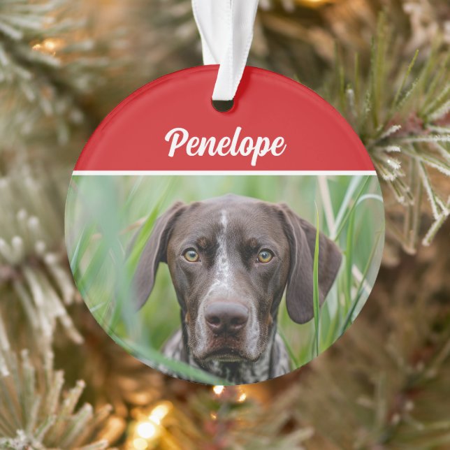 Cute Shorthair Pointer Chien Fête de Noël Photo (Arbre)