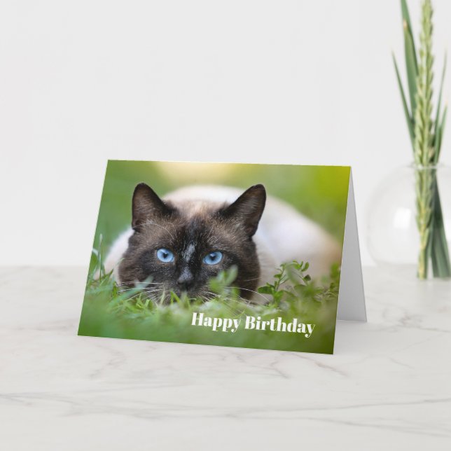 Cute Siamese Chat Photo Anniversaire Carte (Devant)