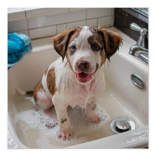 Cute Soapy Wet Puppy Bath Poster Mur Art (Devant)