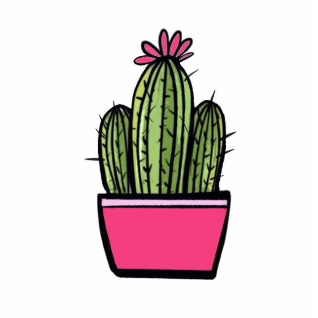 Cute Succulent Cactus Photo Sculpture (Devant)