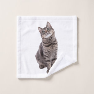 Cute tabby Cat