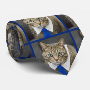 Cute Tabby Chat Brown Porte Cravate bleue