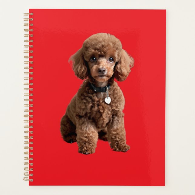  Cute Teacup Poodle Red Folder (Devant)