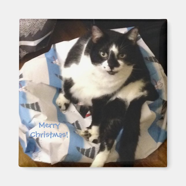 Cute Tuxedo Chat, sur les Magnets de Noël actuels (Devant)