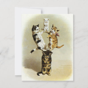 Cute Vintage Chats Victoriens Chatons Jouer, Humou