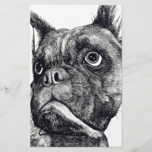 Cutesse de chien de boxe