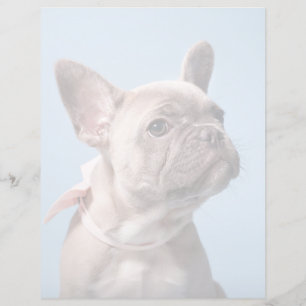 Cutest Baby Animals French Bulldog Pink Bow