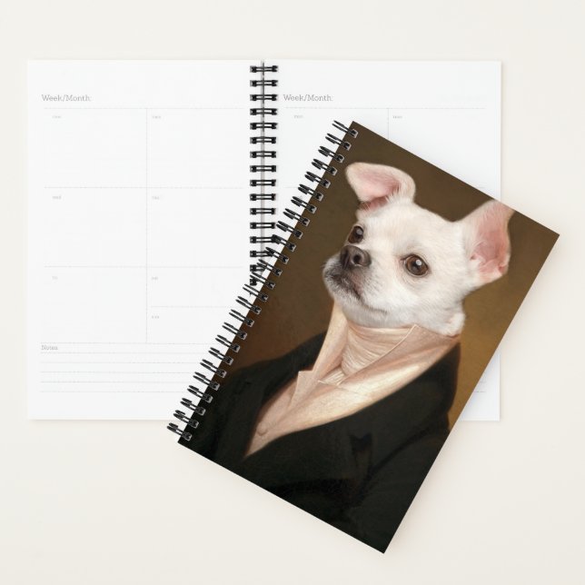 Cutest Baby Animals | Royal Chihuahua Portrait (Devant avec enveloppe)