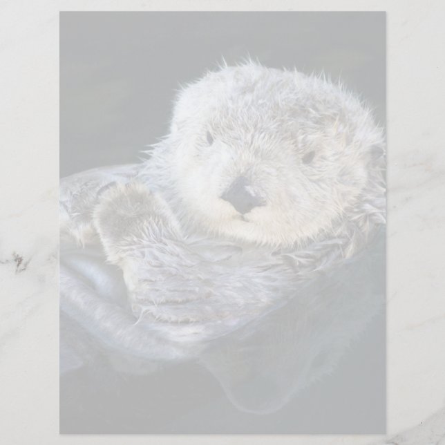 Cutest Baby Animals | Sea Otter Floating (Devant)