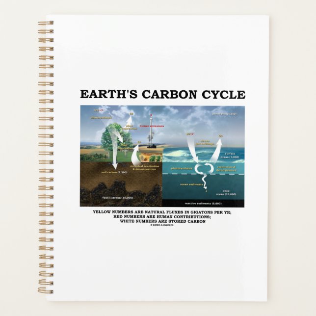 Cycle du carbone de la Terre Science De l'environn (Devant)
