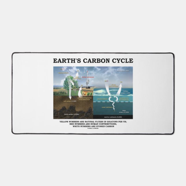 Cycle du carbone de la Terre Science De l'environn (Recto)