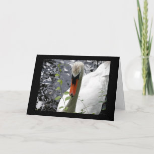 Cygne avec carte de voeux de vin
