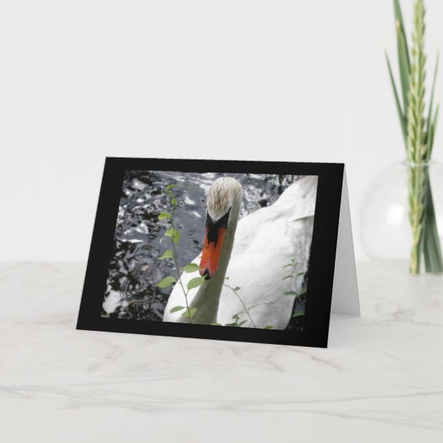 Cygne avec carte de voeux de vin (Devant)
