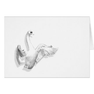 Cygne blanc - carte