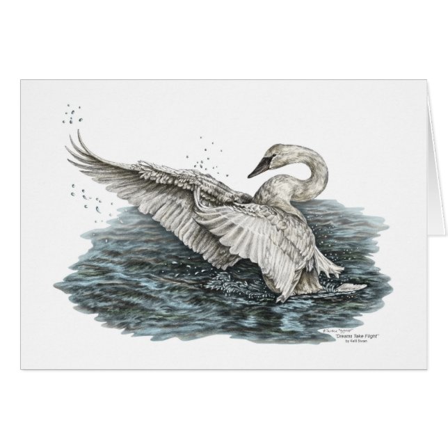 Cygne blanc sur l'eau (Devant horizontal)