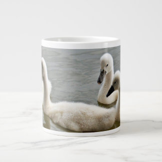 cygnes dans la tasse de l'eau