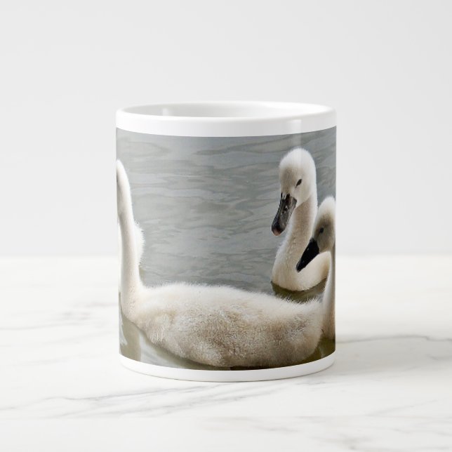 cygnes dans la tasse de l'eau (Devant)
