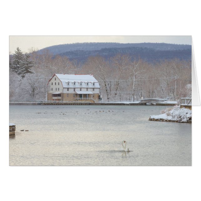 Cygnes dans l'étang avec le moulin et les collines (Devant horizontal)