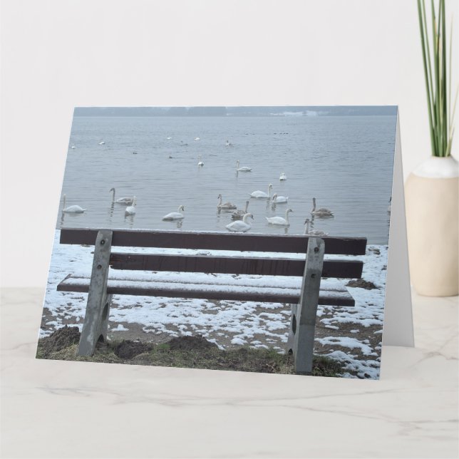 Cygnes, lac et banc - carte de voeux (Devant)