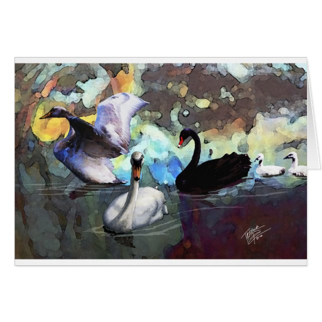 Cygnes nageant (Devant horizontal)