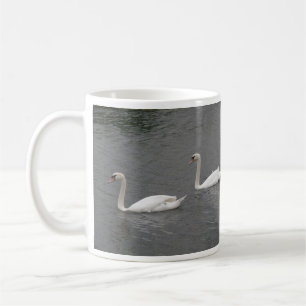 Cygnes sur la Mug