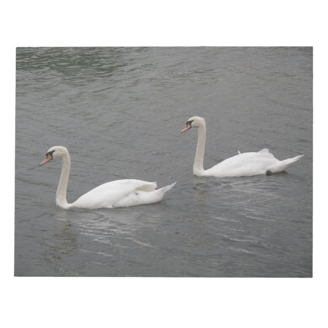 Cygnes sur le Bloc-notes de la rivière (Devant)