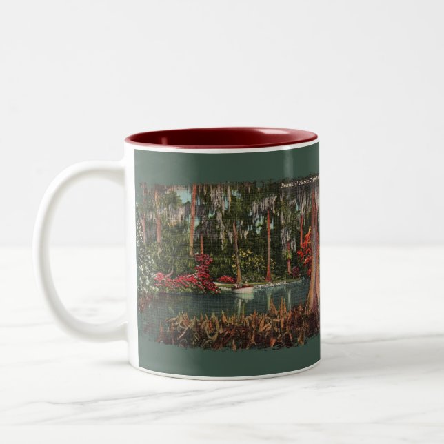 Cypress Gardens Floride Café Mug (Gauche)