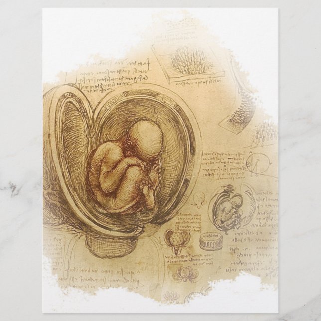 da Vinci - Croquis Embryo (Devant)