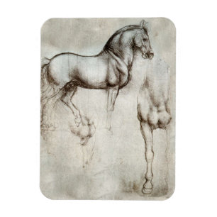 Da Vinci Horse Magnet