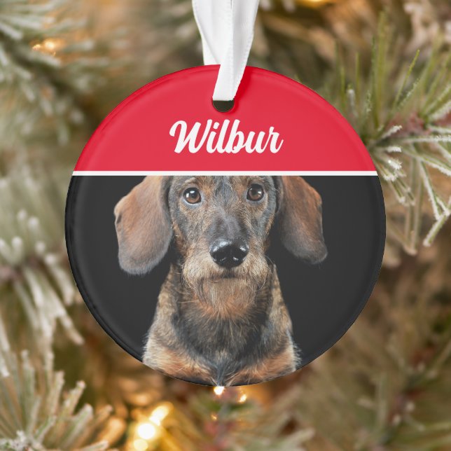 Dachshund à poil dur avec nom et photo Noël (Arbre)