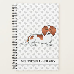 Dachshund à poil long pied rouge dessin animé chie