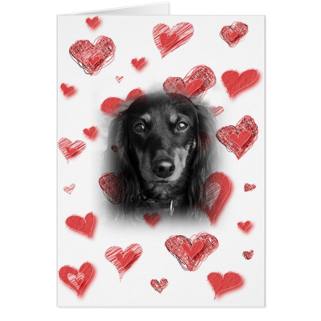 Dachshund avec carte Red Hearts (Devant)