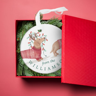 Dachshund Chien Cosy Knished Christmas Sweat Photo