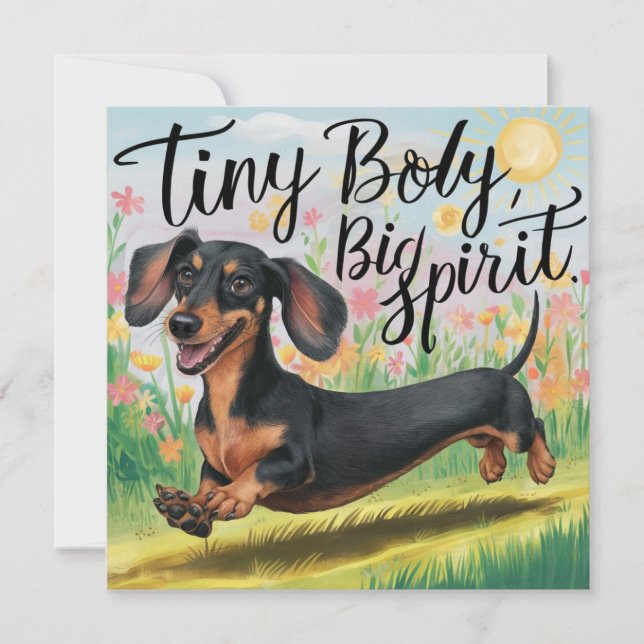 Dachshund Corps Minuscule, Grand Esprit (Devant)