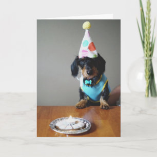 Dachshund Dog Carte d'anniversaire