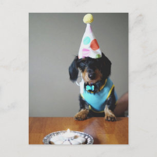 Dachshund Dog Carte d'anniversaire