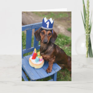 Dachshund Doxie Carte d'anniversaire Weiner Chien