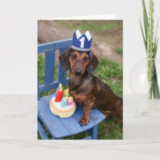 Dachshund Doxie Carte d'anniversaire Weiner Chien