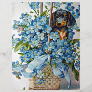 Dachshund et Forget-Me-Nots