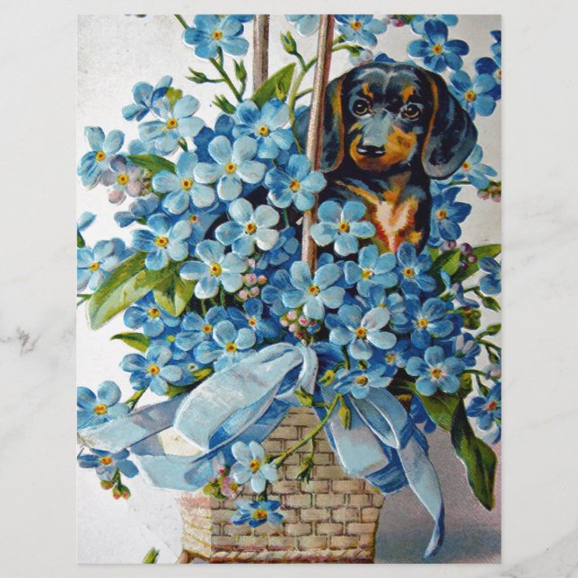 Dachshund et Forget-Me-Nots (Devant)