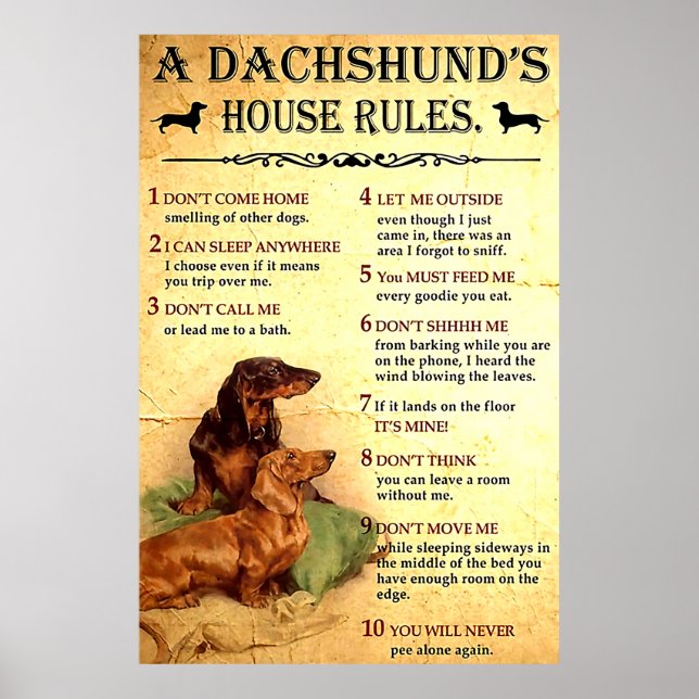 Dachshund House Rules Poster Cadeau pour Hommes Fe (Devant)
